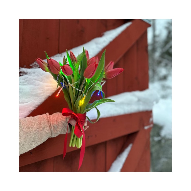 Belysningsslinga Multi