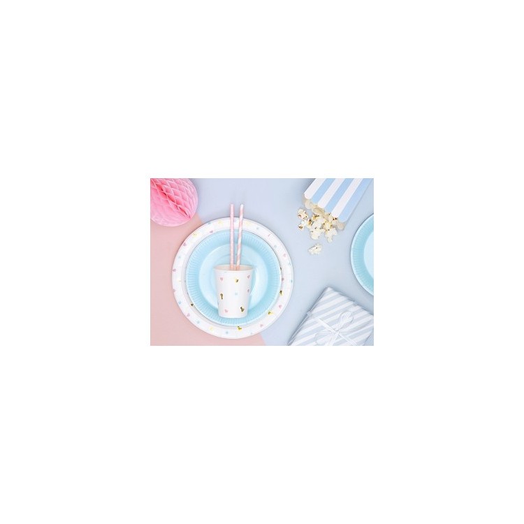 Papperstallrikar Boy or Girl?