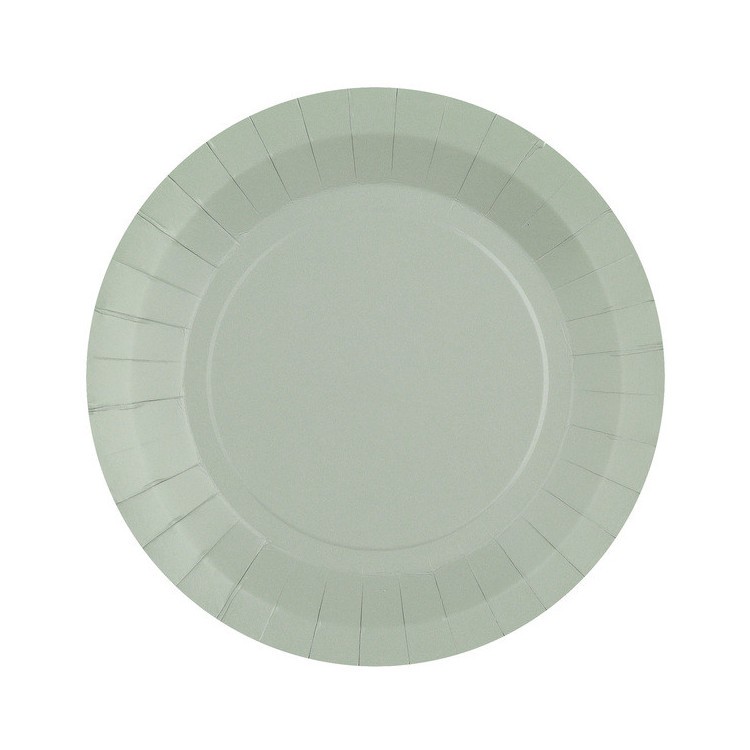 Papperstallrikar Grå