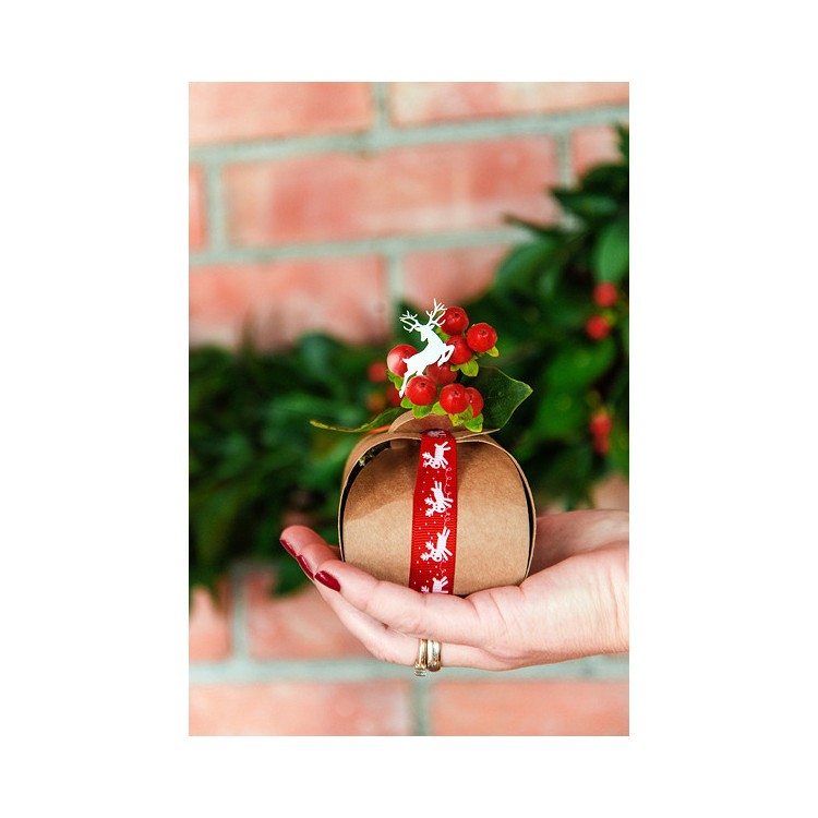 Gåvoaskar Natur bild 6