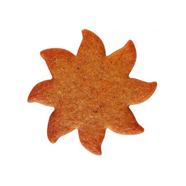 Kakform Sjöstjärna bild 2