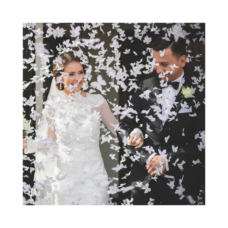 Konfettikanon Vita Fjärilar bild 3