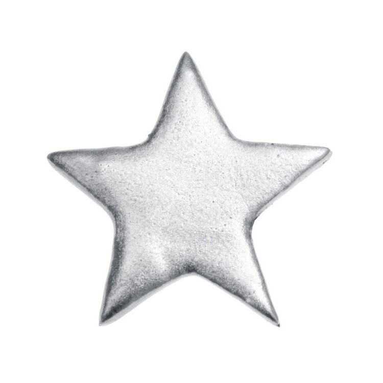 Dekoration Stjärnor Silver