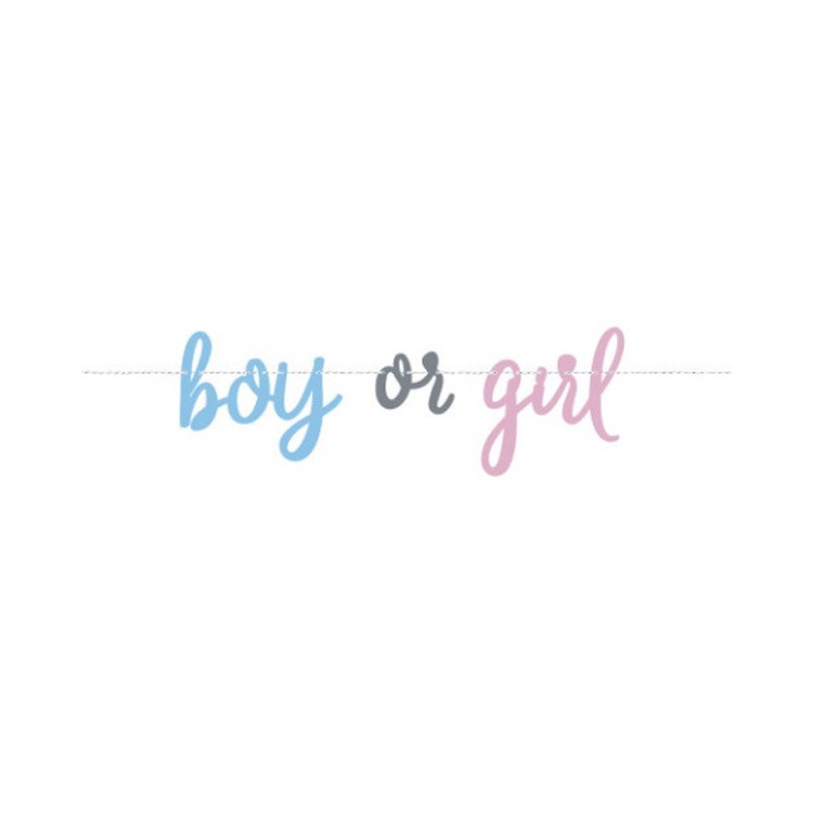 Banner Boy or Girl