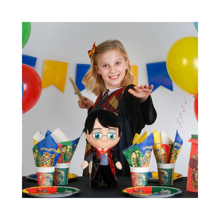 Kalaspaket Harry Potter enkel 8 pers bild 2