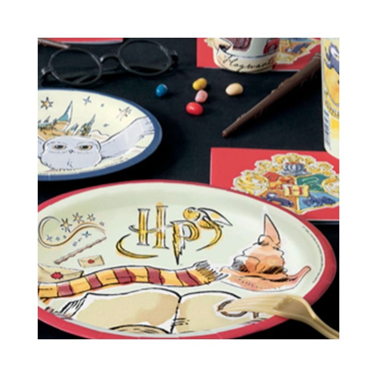 Kalaspaket Harry Potter barnkalas enkel 8 pers